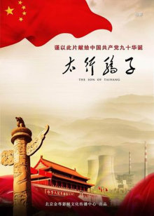 清炖鸽子的做法