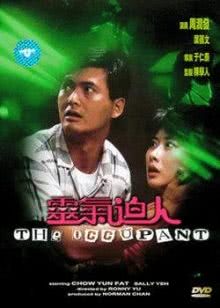 鱿鱼炒辣椒的做法